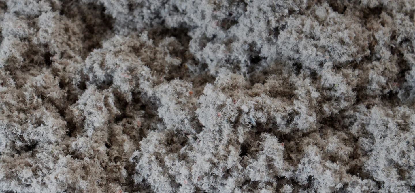 cellulose insulation texture closeup